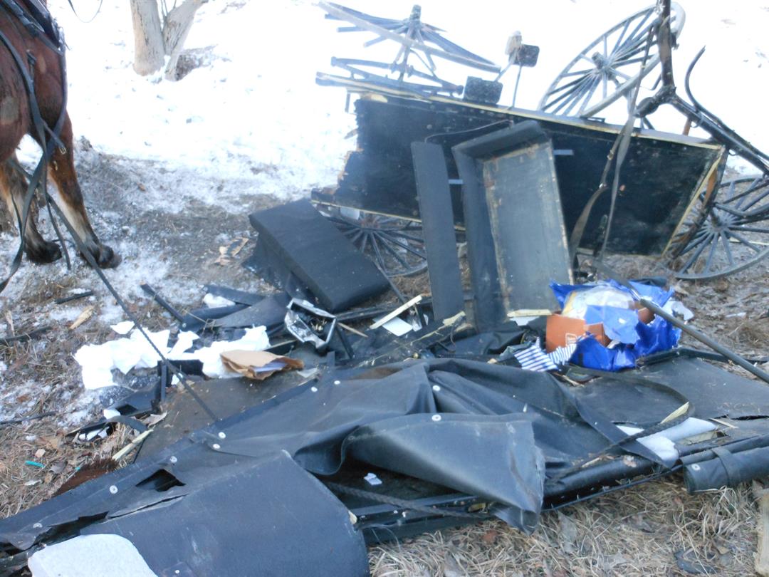 Update: 7 Amish Hurt In Crash That Destroyed Buggy Identified - WNEM TV 5