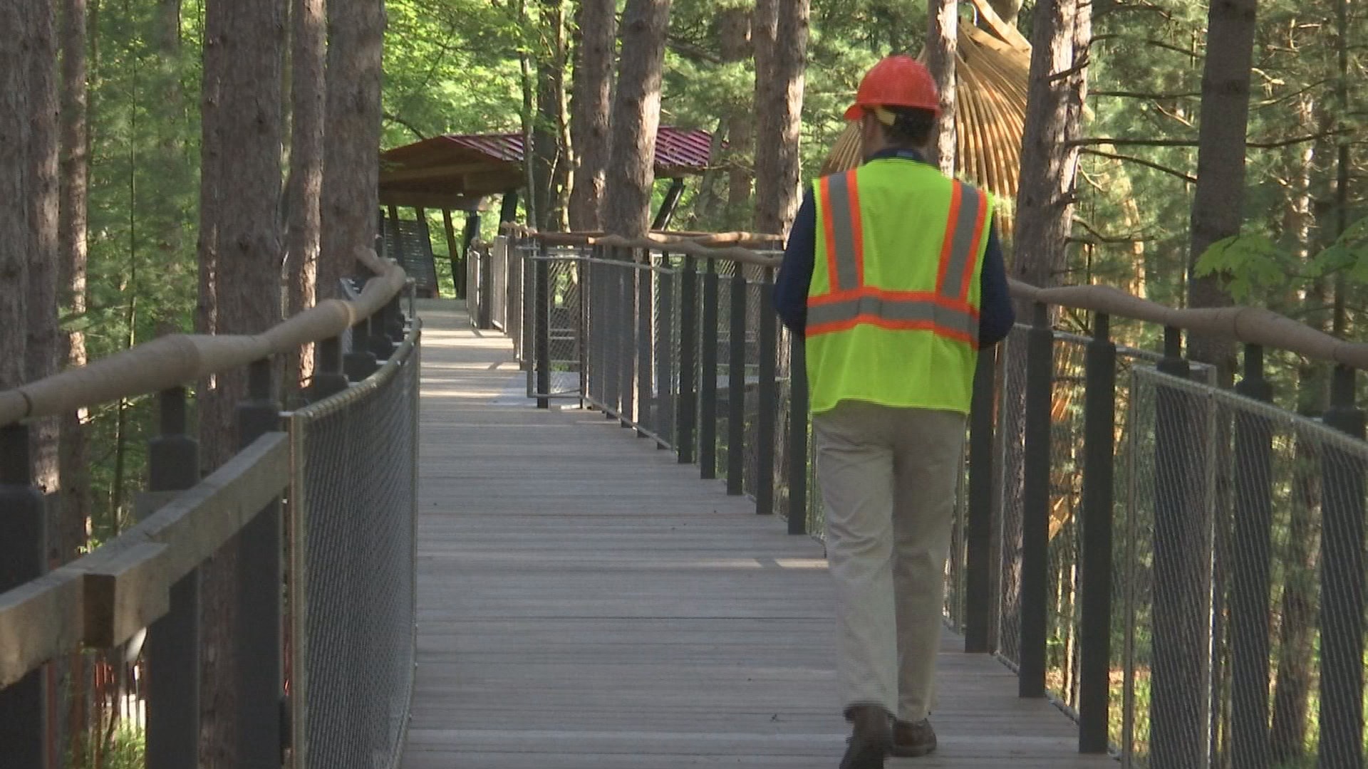 Nation's longest canopy walk to open in Midland - WNEM TV 5