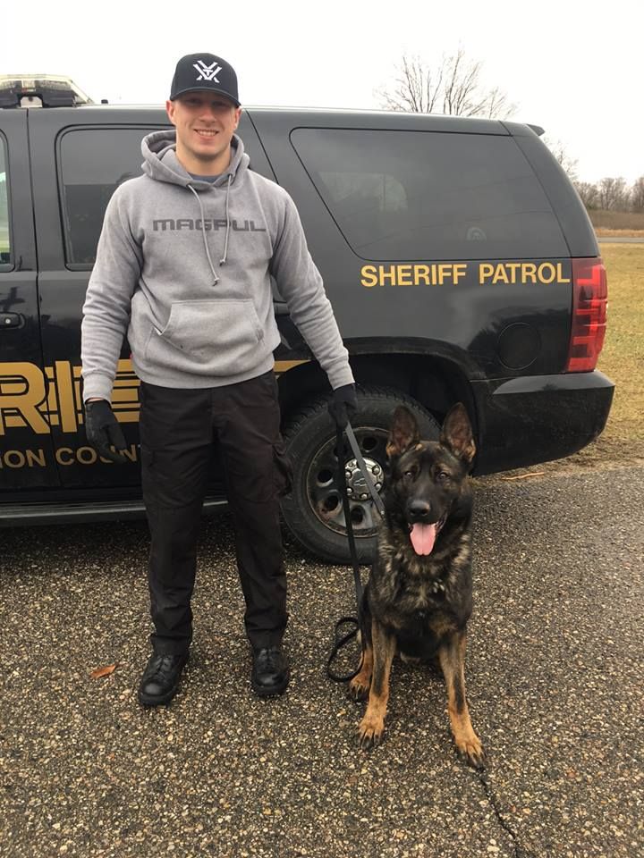 WATCH Deputy handler, K9 Kato take down 'suspect' in training s WNEM