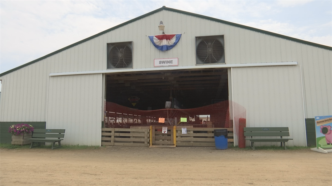 Animal tests positive for swine flu at Shiawassee County Fair WNEM TV 5