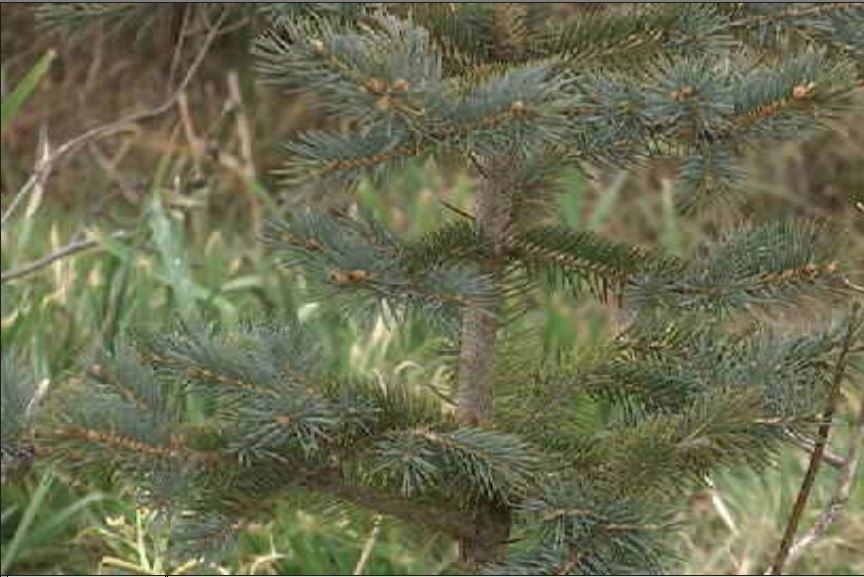 Saginaw, MI News, Weather, Photos | Flint, Midland, Michigan - WNEM TV 5